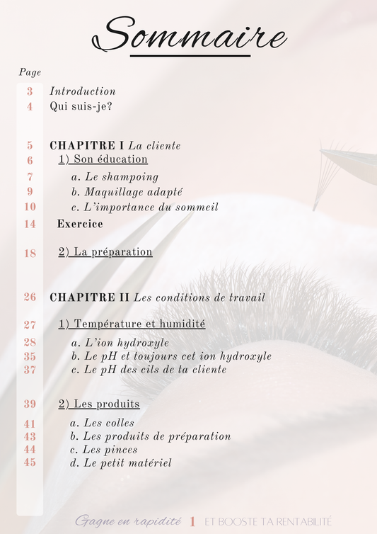 Ebook - Gagne en rapidité et BOOSTE ta rentabilité